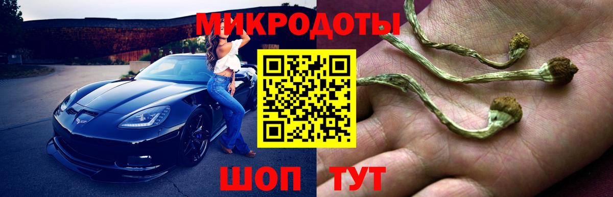 Псилоцибиновые грибы ЛСД Сорочинск