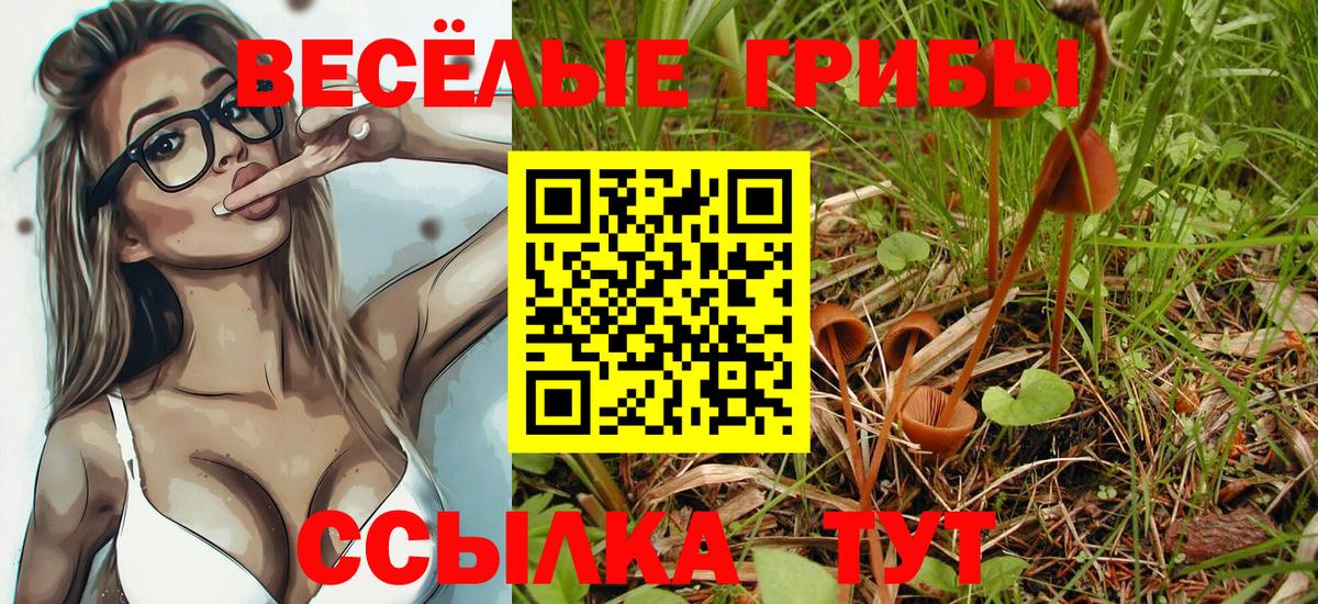 Сорочинск  Галлюциногенные грибы прущие грибы  Вход с VPN  Галлюциногенные грибы Cubensis 